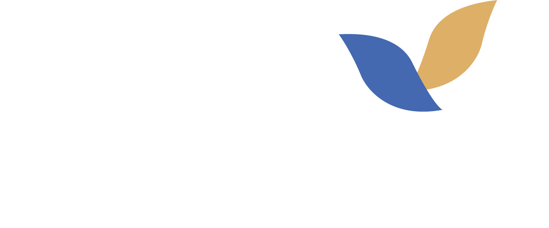 Brisk Wellness